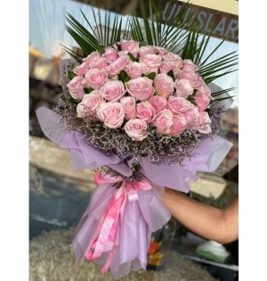 Soft Pink Rose